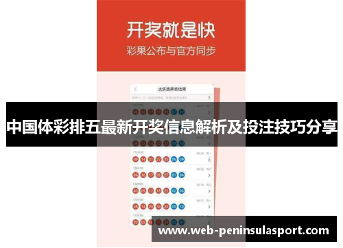 中国体彩排五最新开奖信息解析及投注技巧分享